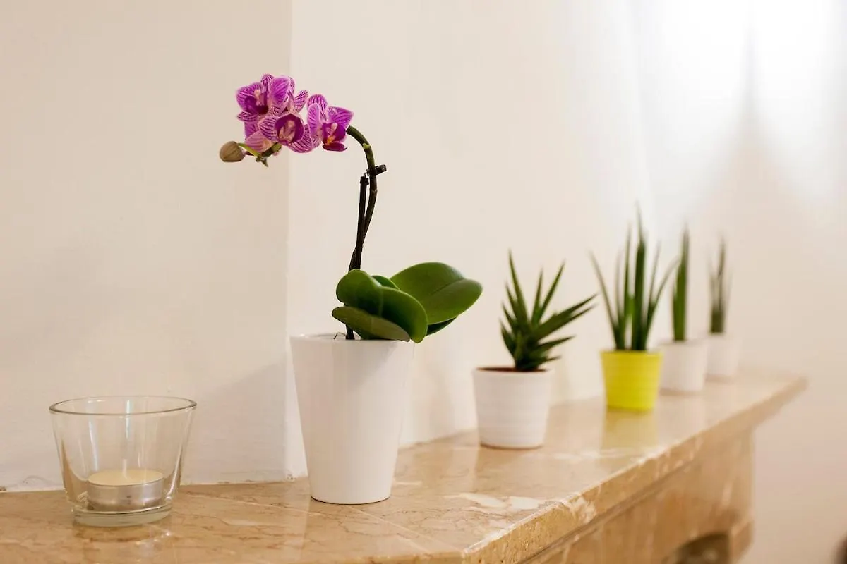 Gasthuis Ginjinha House - 4 Rooms - Bairro Alto - With Ac! Lissabon